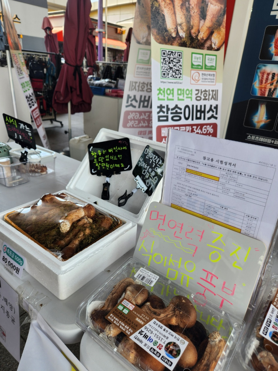 1778563272.8604KakaoTalk_20260512_122439034_03.jpg