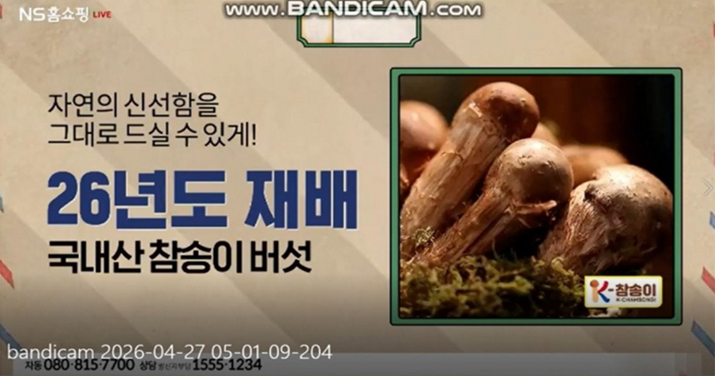 참송이버섯 홈쇼핑 방송 화면